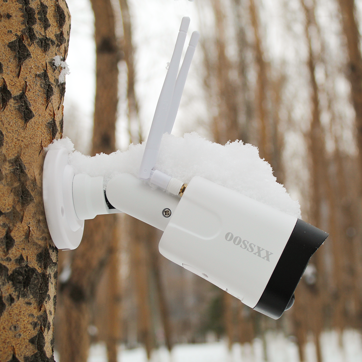 Wireless Cameras With Tree