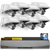 Cargar imagen en el visor de la galería, 5MP PoE Security Camera System with 8CH NVR &amp; 3TB HDD (ABS accessories)